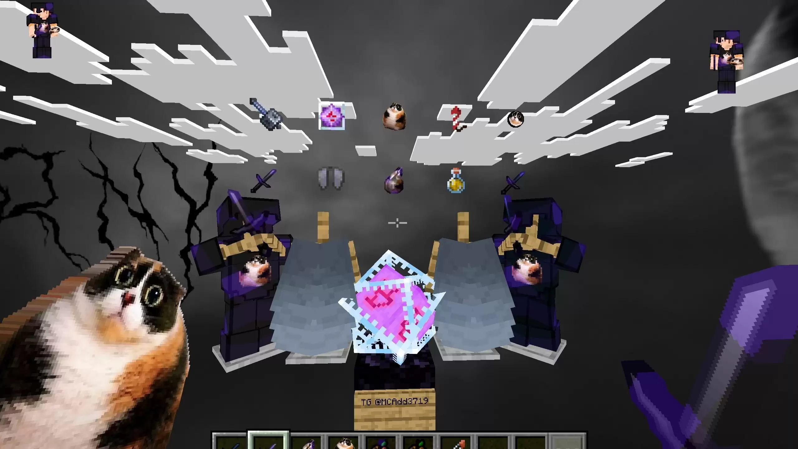 Gallery Banner for Shadow Kitty PvP on PvPRP