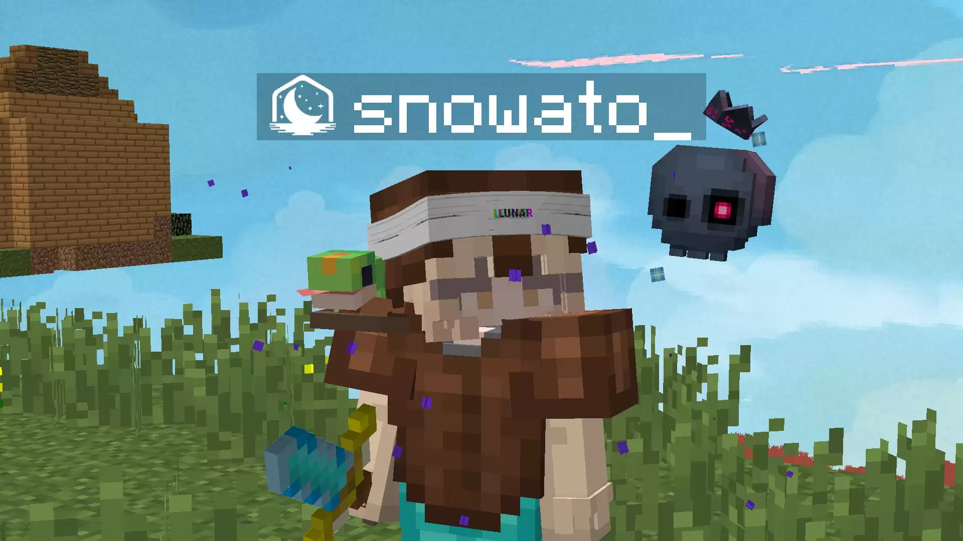 Gallery Image 6 for snowato