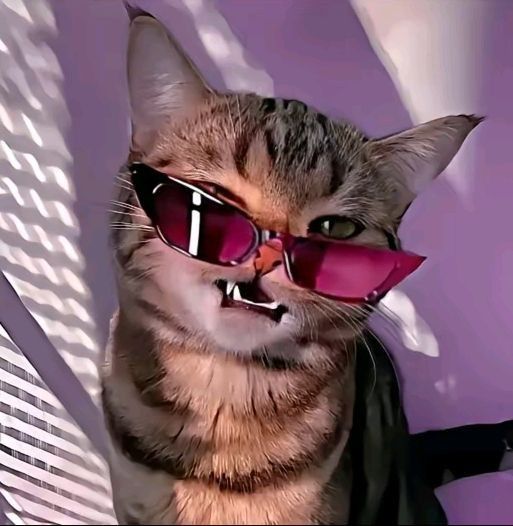 favvxmc's Profile Picture on PvPRP