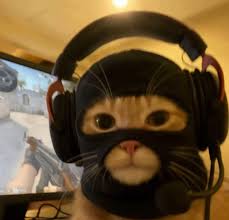 amirzx's Profile Picture on PvPRP