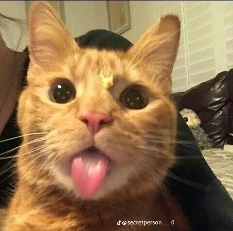 dytjago's Profile Picture on PvPRP