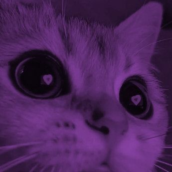 Mr_piola556 profile picture