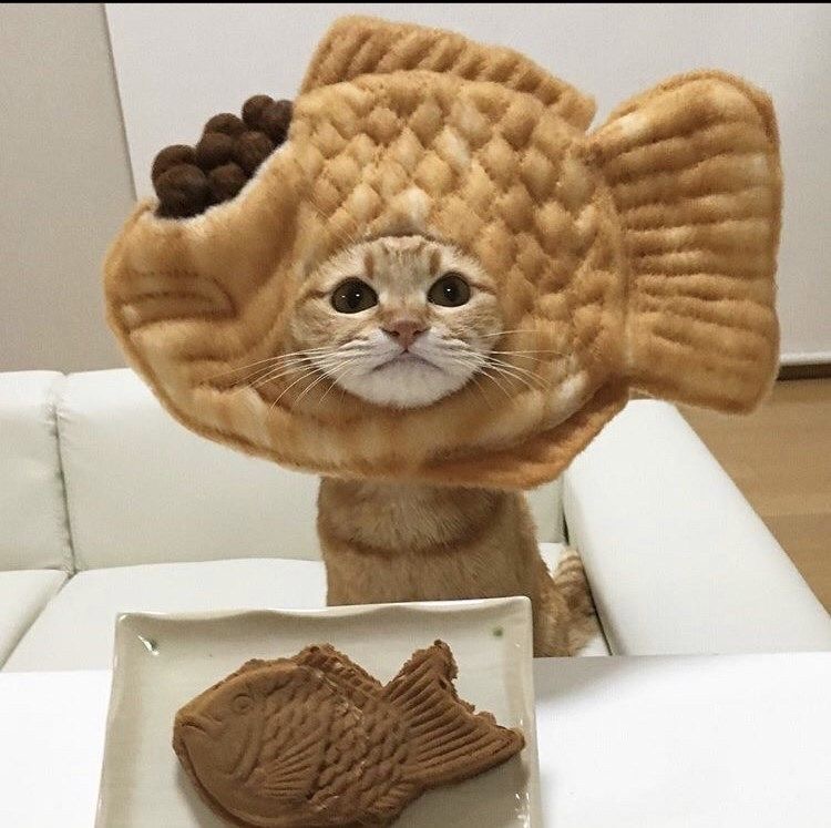 fried water's Profile Picture on PvPRP