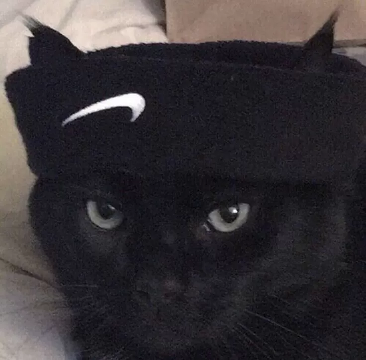 j0j0o1
