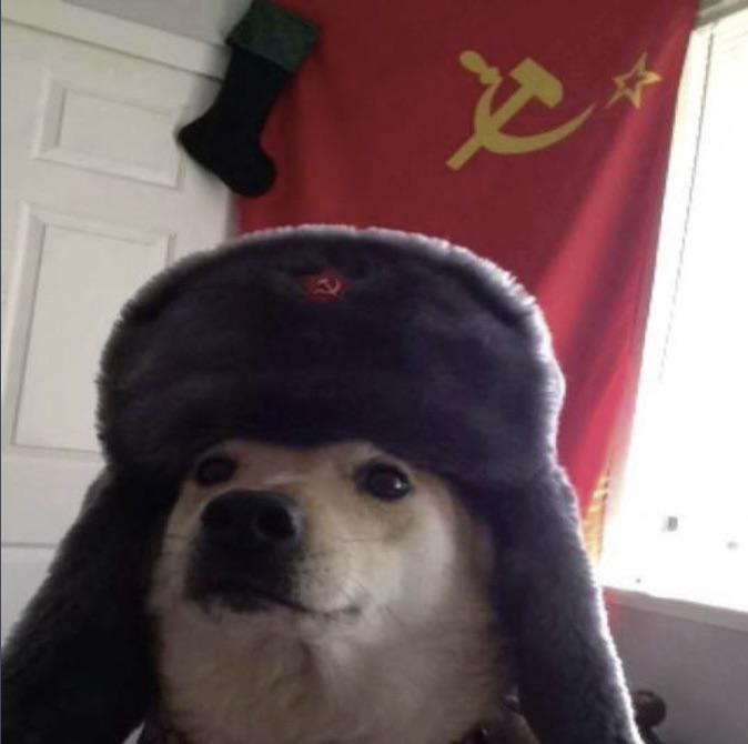 John1wei's Profile Picture on PvPRP